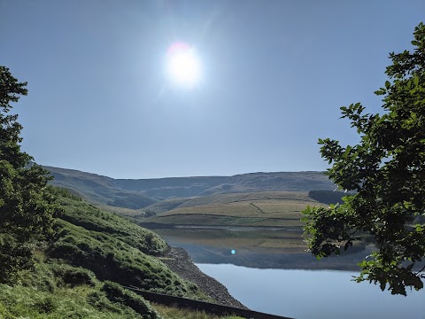 Kinder Downfall