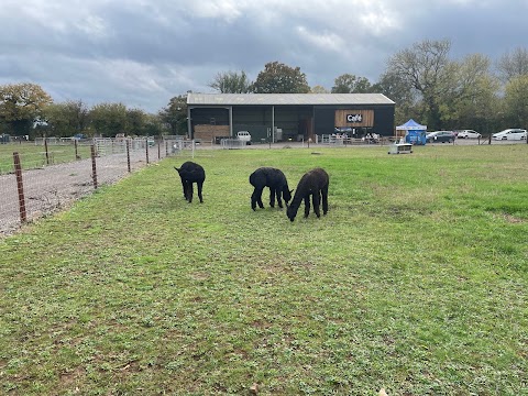 Wolfridge Alpaca Barn