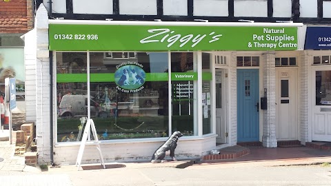 Ziggys Pet Supplies