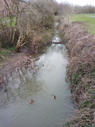 Lyme Valley Parkway