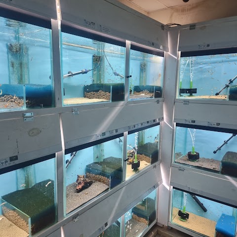 Deans Fish Room