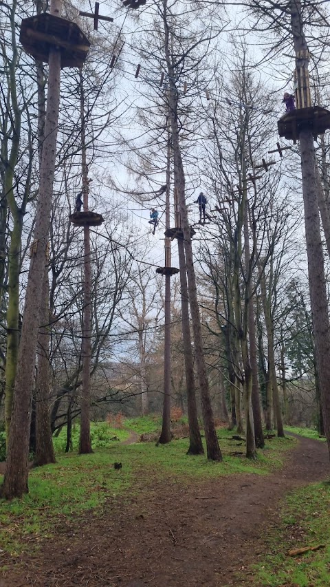 Go Ape Dalkeith