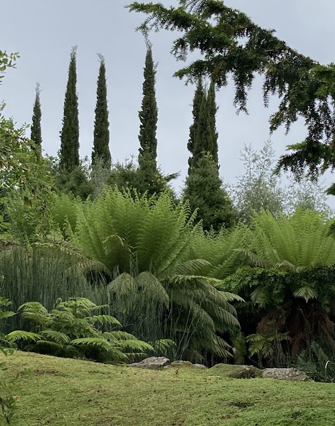 University of Bristol Botanic Garden