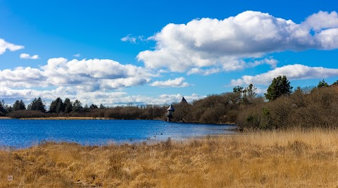 Llyn Llech Owain Country Park