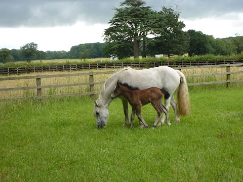 Chapelfield Veterinary Partnership