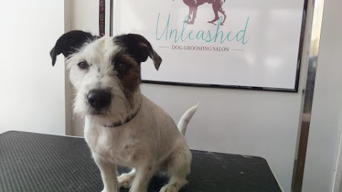 Unleashed Dog Grooming Salon
