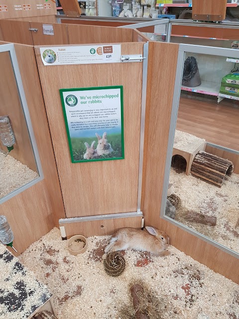 Pets at Home Bromsgrove