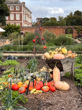 Herne Hill School