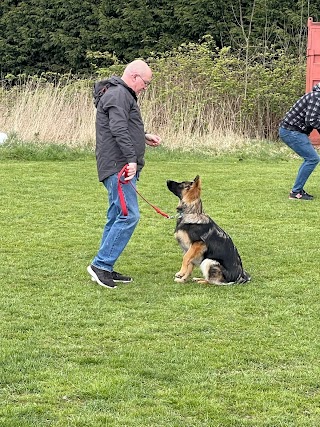 Bankhall k9 Swim - Liverpool - #nationaldogtrainingcentre