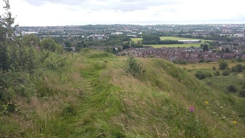 Rowley Hills