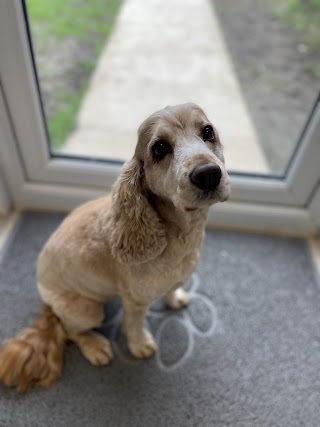 Barkshire Dog Spa