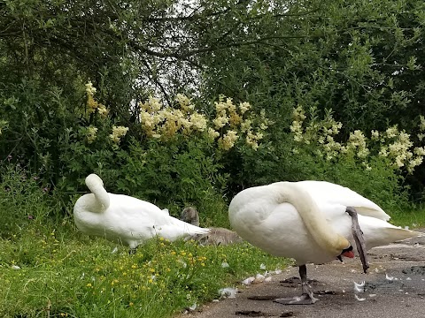 WWT London Wetland Centre