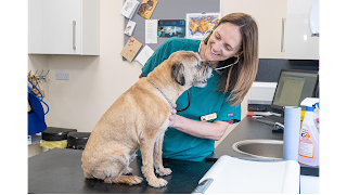 Willows Veterinary Group - Lymm Veterinary Surgery