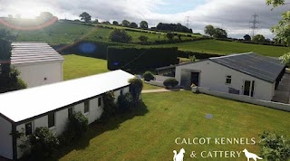 Calcot Kennels