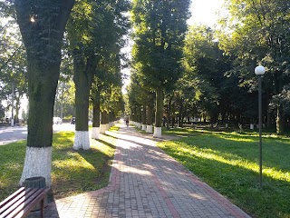 Снятинський Міський Парк