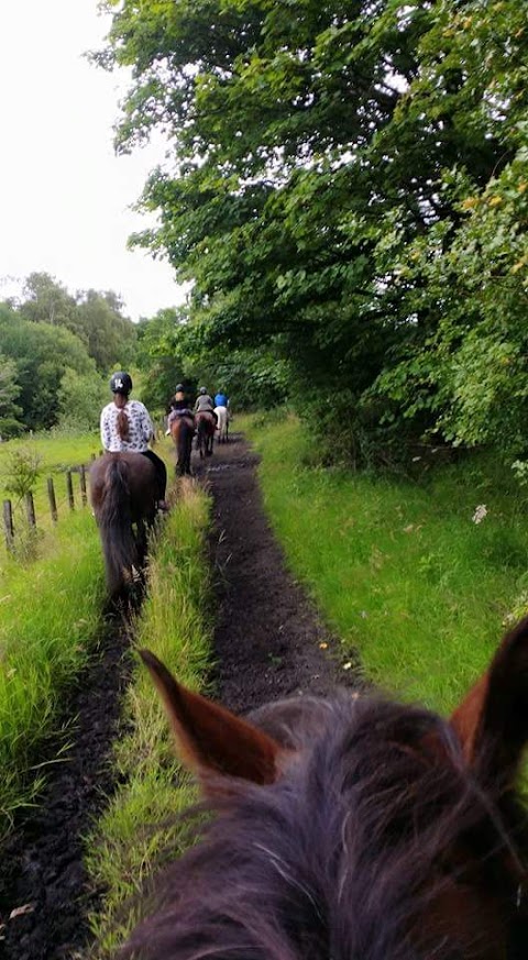 Edinburgh & Lasswade Riding Centre