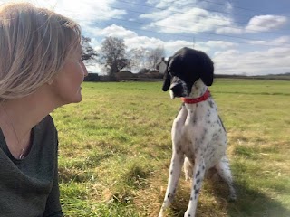 Brookfields Boarding and Canine Care Centre