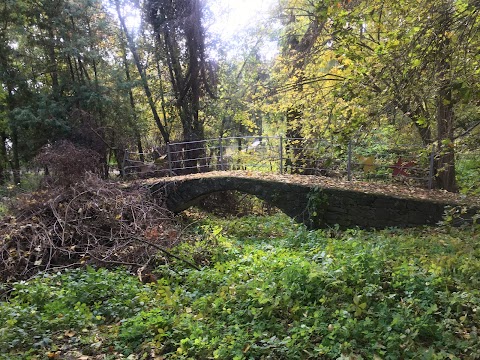 Лозуватский дендропарк