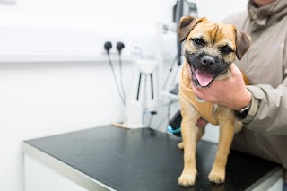 Oval Pet Centre Veterinary Practice