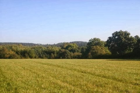 Cooks Farm Shop