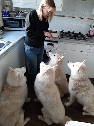 Windlegrey Top Dog Boarding Kennels