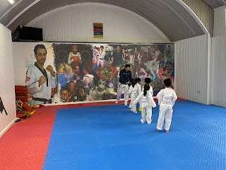 TIGERS TAEKWONDO ACADEMY