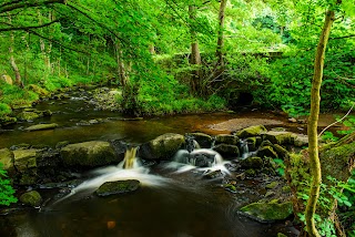 Rivelin Valley Park Playground