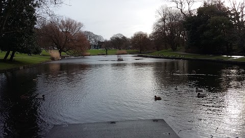 Christie Swim School