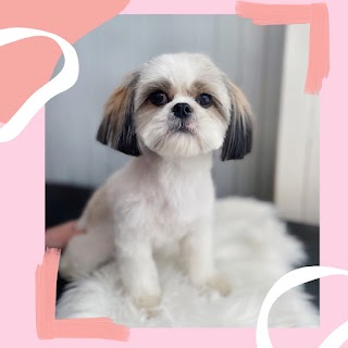 Le Bon Chien Grooming Services