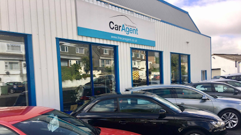 The Professional Car Agent Ltd