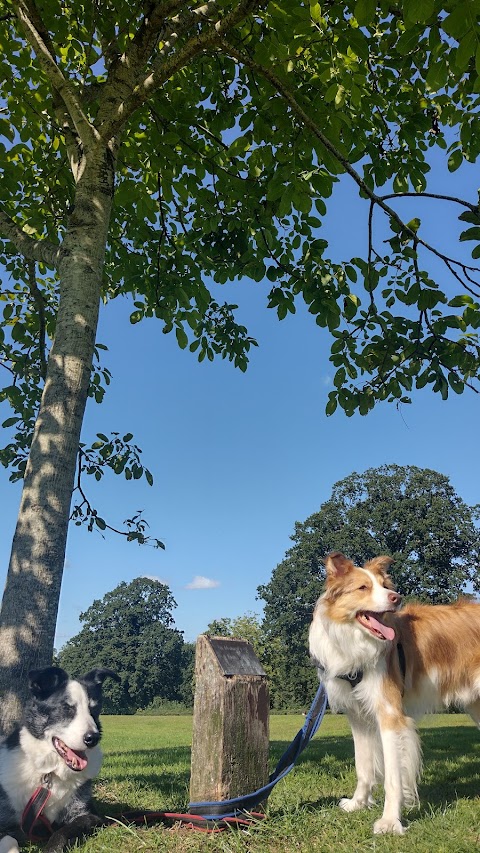 Mundy Playing Fields