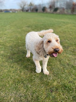 Walkies! with Steph