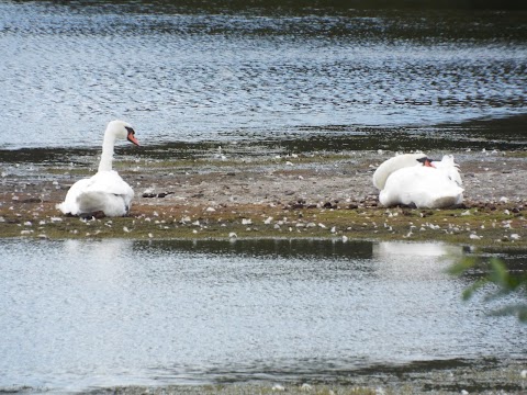 Newstead and Annesley Country Park