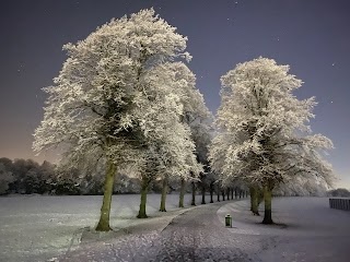 Darley Playing Fields