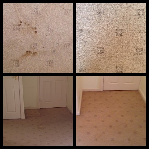 CCS Carpet Cleaning