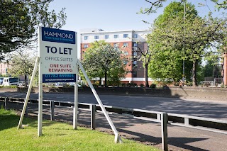 Hammond Chartered Surveyors