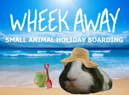 Wheek Away Small Animal Boarding