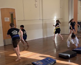 Taekwondo South Schools