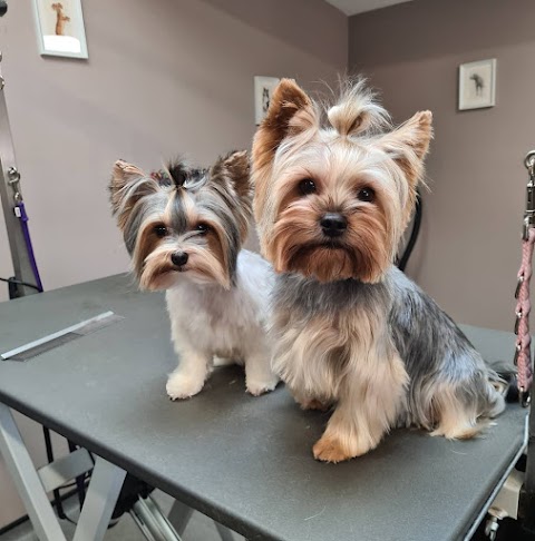 The Barking Barbers