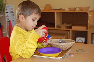 Rosewood Montessori Day Nursery & Forest School