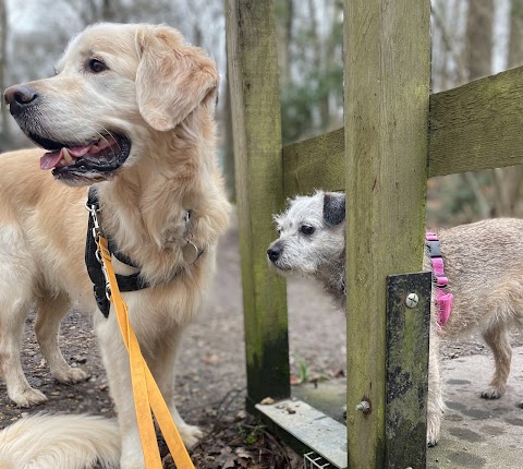 Four Paws Trek and Train