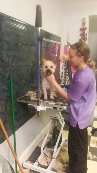 Paula's Dog Grooming Salon