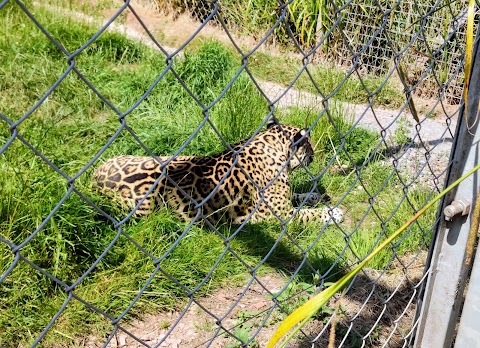 South Lakes Safari Zoo