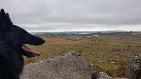 Great Trowlesworthy Tor