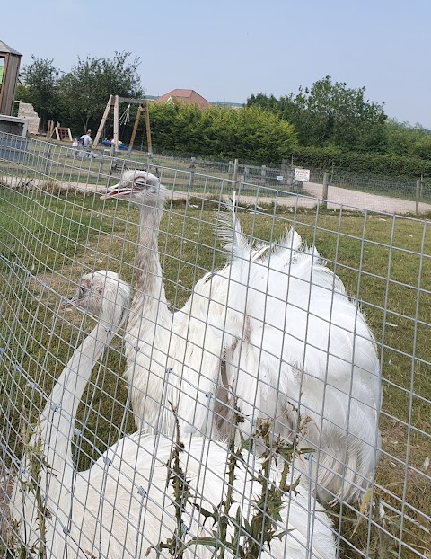 Manor Farm Park & Woodlands