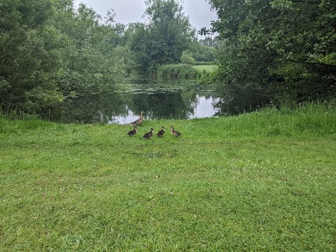 Coate Water Country Park