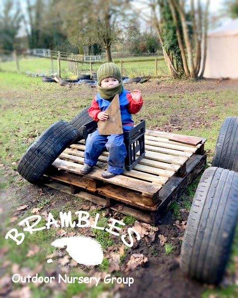 Brambles Outdoor Nursery Group