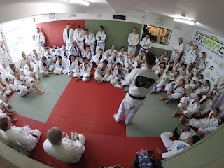 One Brazilian Jiu-Jitsu classes