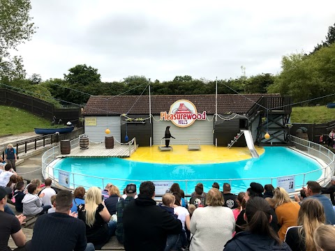 Sea Lion Show