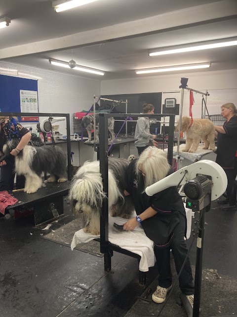 Groovy Grooming and Snazzy swimmers canine hydrotherapy centre